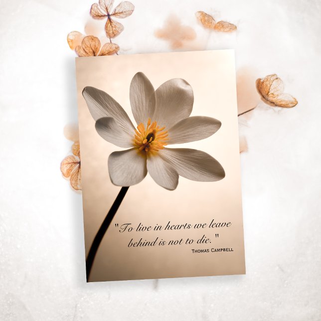 White Wildblume Vielen Dank für Ihre Sympathiekart Dankeskarte (Von Creator hochgeladen)