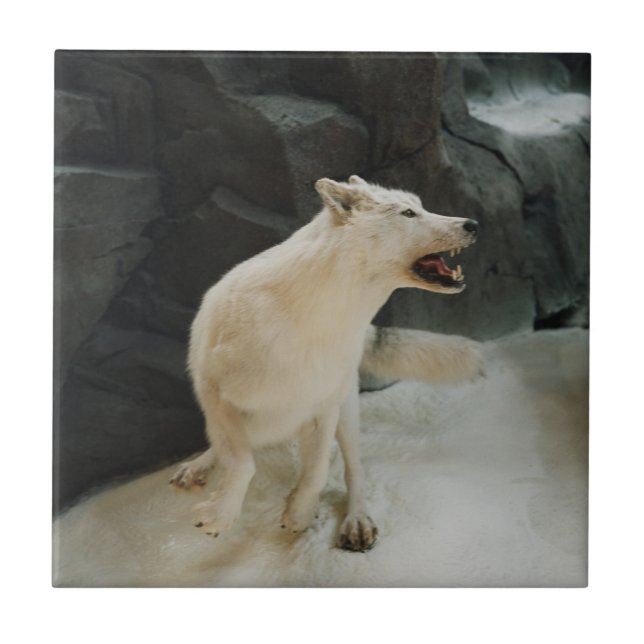 White Wolf Fliese (Vorderseite)