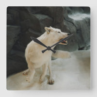 White Wolf