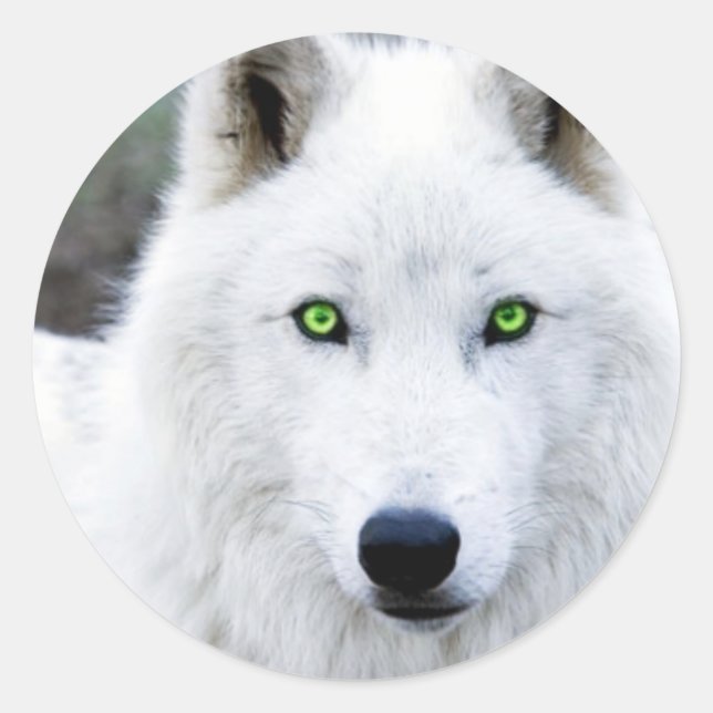 White Wolf Runder Aufkleber (Vorderseite)