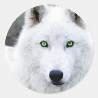 White Wolf Runder Aufkleber