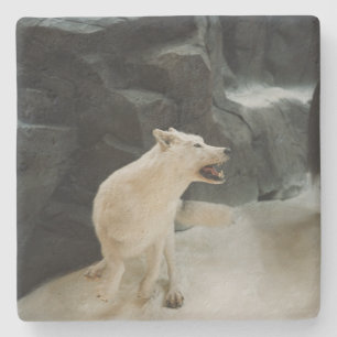 White Wolf Steinuntersetzer