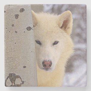 White Wolf Steinuntersetzer