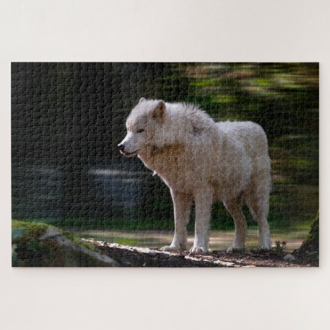 White Wolf Super Schwieriges Wildlife (Horizontal)
