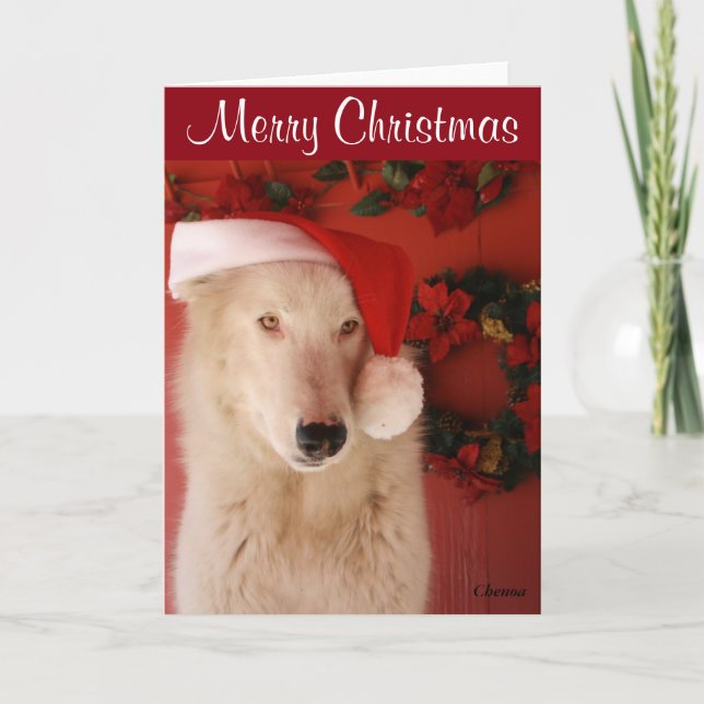 White Wolf Weihnachtskarte Feiertagskarte (Vorderseite)