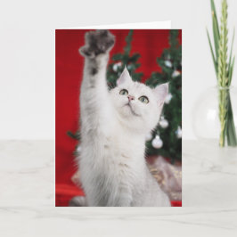 White XMAS Cat Feiertagskarte