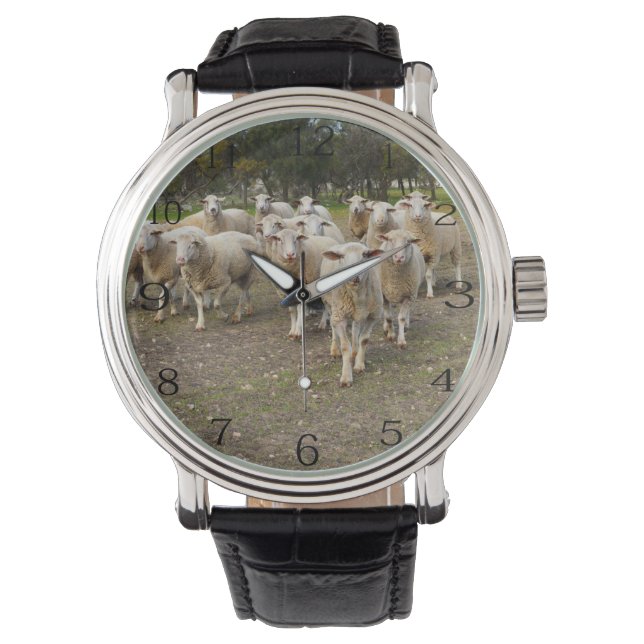 White Young Wooly Sheep, Armbanduhr (Vorderseite)