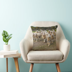 White Young Wooly Sheep, Kissen