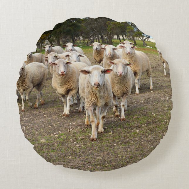 White Young Wooly Sheep, Rundes Kissen (Vorderseite)