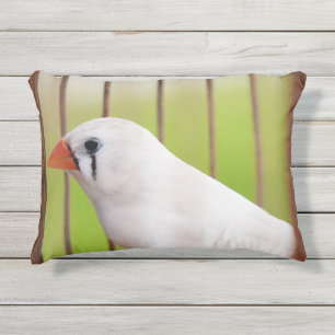 White Zebra Finch Bird in Cage Kissen Für Draußen