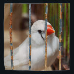 White Zebra Finch Bird in Cage Kopftuch<br><div class="desc">2025</div>