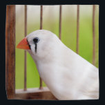 White Zebra Finch Bird in Cage Kopftuch<br><div class="desc">Durch das Tragen dieser Bandana drücken Sie nicht nur Ihren einzigartigen Stil aus, sondern schärfen auch das Bewusstsein für die Bedeutung des Tierschutzes und die Notwendigkeit, ihre natürlichen Lebensräume zu schützen. Ideal für Vogelliebhaber und Fürsprecher von Tierrechten, ist diese Bandana eine sinnvolle Ergänzung zu Ihrer Accessoires-Kollektion, perfekt für lässige Ausflüge,...</div>