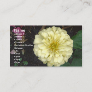 White Zinnia Visitenkarte