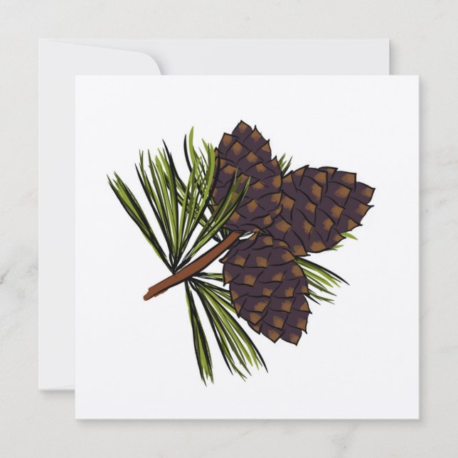 Whitebark Pine Note Card Mitteilungskarte (Vorderseite)