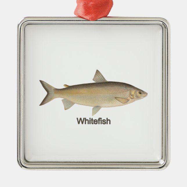 Whitefish Ornament Aus Metall (Vorne)