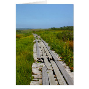 Whitehead Insel, Notiz: