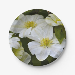 Whitelight Paper Plate Pappteller
