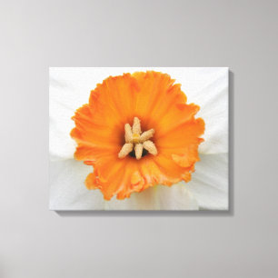 Whitelot Canvas Print Leinwanddruck