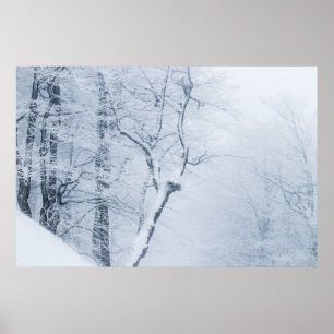 Whiteout Poster