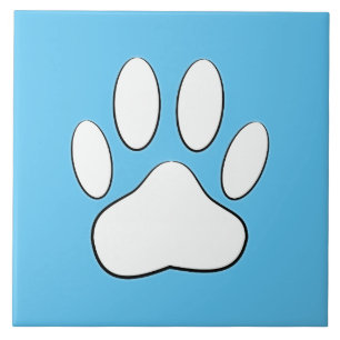 Whitepaper auf Sky Blue Tile Fliese