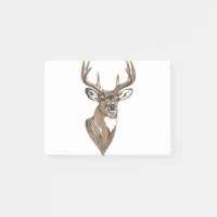 Whitetail Buck Deer Head