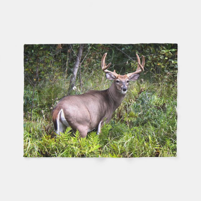Whitetail Buck Fotografie Fleecedecke (Vorderseite (Horizontal))