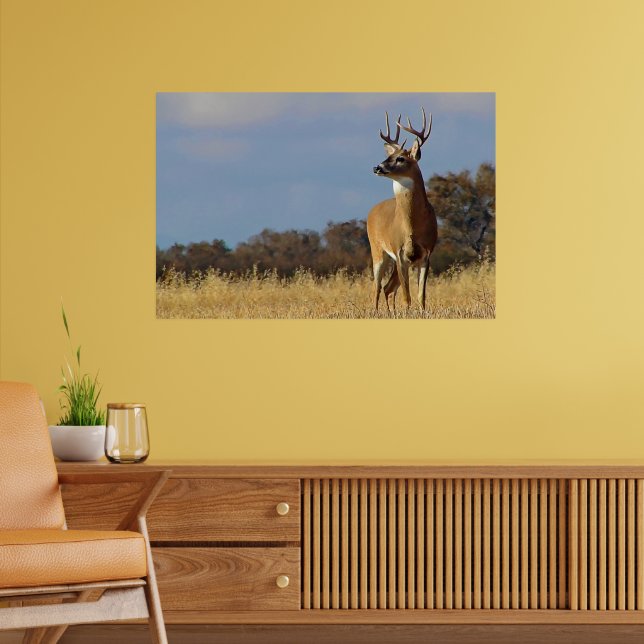 Whitetail Buck Gerahmt Print Poster (Wohnzimmer 2)