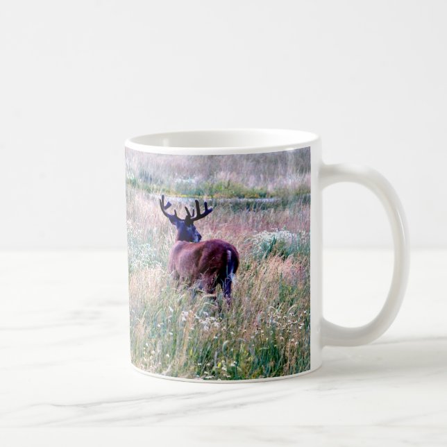 Whitetail Buck in Summer Field Tasse (Rechts)