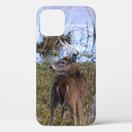 Whitetail Buck iPhone/iPad-Gehäuse Case-Mate iPhone Hülle