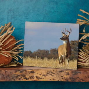 Whitetail Buck Plaque Fotoplatte