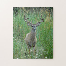 Whitetail Buck Puzzle