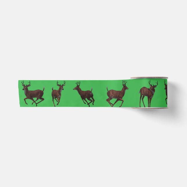 Whitetail Buck Ribbon Satinband (Vorderseite)