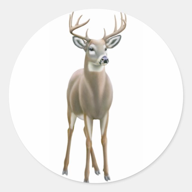Whitetail Buck Sticker (Vorderseite)