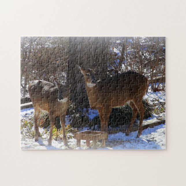 Whitetail Deer 11x14 Foto Puzzle mit Geschenkboxen (Horizontal)