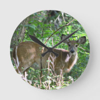 Whitetail Deer Akrylic Wall Clock