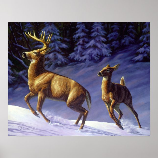 Whitetail Deer Buck & Dock im Winterschnee Poster (Vorne)