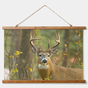 Whitetail Deer Buck Weißfisch, Montana Wandteppich Mit Holzrahmen