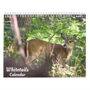 Whitetail Deer Calendar Kalender