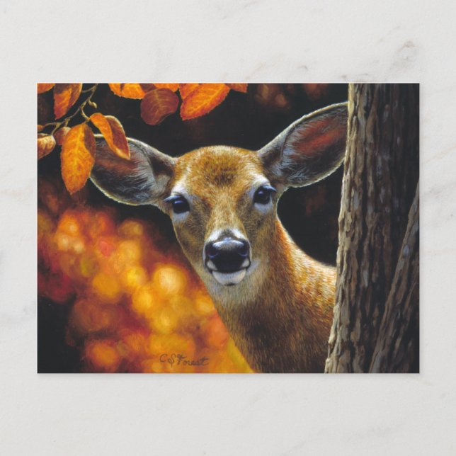 Whitetail Deer Doe Face Herbstfarben Postkarte (Vorderseite)