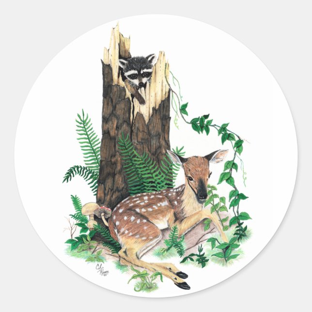 Whitetail Deer Fawn und Raccoon-Aufkleber Runder Aufkleber (Vorderseite)