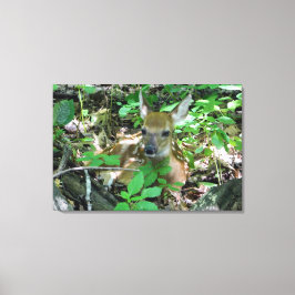 Whitetail Deer Fawn Wrapped Canvas Print Leinwanddruck