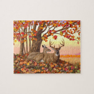 Whitetail Deer im Herbst Herbstfarben in New Engla