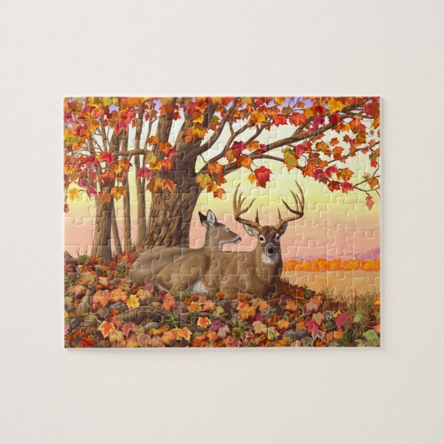 Whitetail Deer im Herbst Herbstfarben in New Engla (Horizontal)