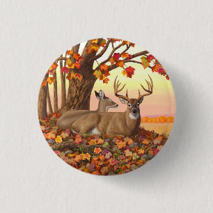 Whitetail Deer im Herbst Herbstfarben in New Engla Button