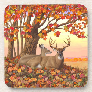 Whitetail Deer im Herbst Herbstfarben in New Engla Getränkeuntersetzer