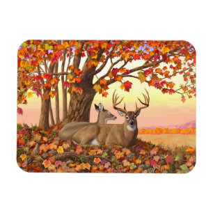 Whitetail Deer im Herbst Herbstfarben in New Engla Magnet