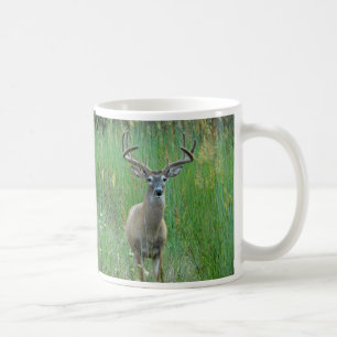Whitetail Deer in der Wiese-Tasse Kaffeetasse