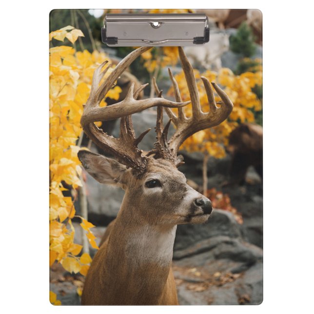 Whitetail Deer Klemmbrett (Vorderseite)