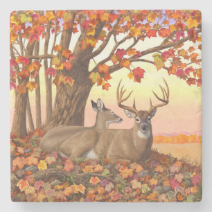 Whitetail Deer Maple Tree Herbst Orange Steinuntersetzer