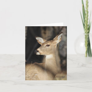 Whitetail Deer Notecard - Blank Inside Dankeskarte